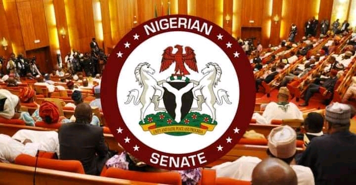 Insecurity: Senate decries shortage of personnel, draws support for Peace Corps, Hunters’ Bill